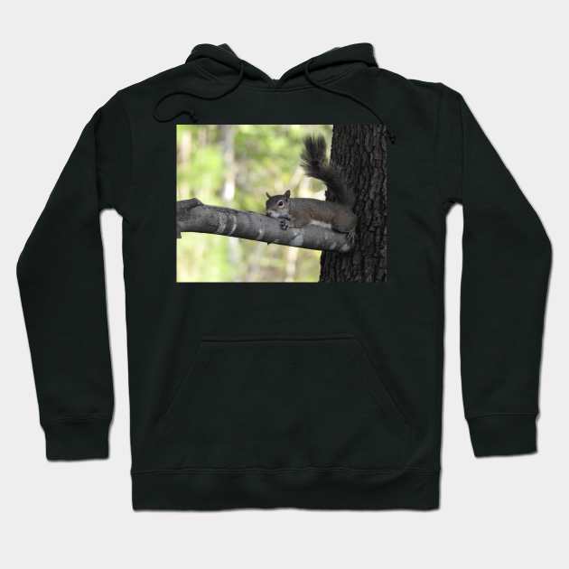 Eastern Gray Squirrel Hoodie by eBirder